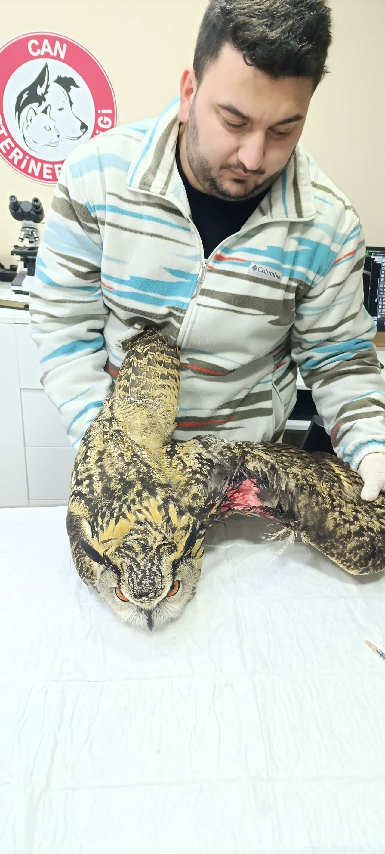 Konya dahil 11 ilde yaban hayatı için büyük mücadele! Açıklanan rakam şahane 1